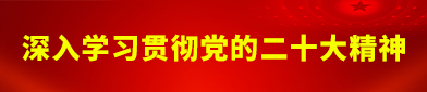 深入学习贯彻党的二十大精神